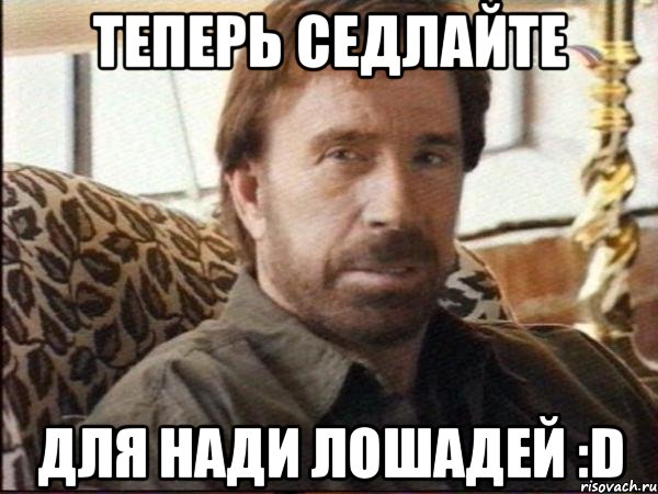 теперь седлайте для нади лошадей :D, Мем чак норрис