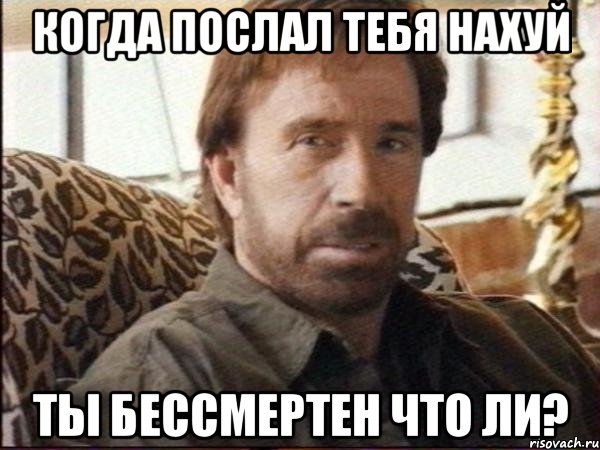 Когда послал тебя нахуй Ты бессмертен что ли?, Мем чак норрис