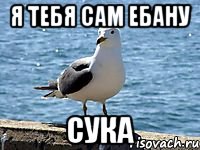 я тебя сам ебану СУКА