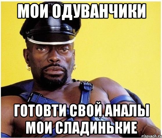 мои одуванчики готовти свой аналы мои сладинькие, Мем Черный властелин