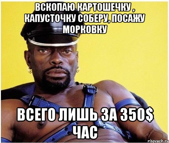 Вскопаю картошечку , капусточку соберу, посажу морковку всего лишь за 350$ час, Мем Черный властелин