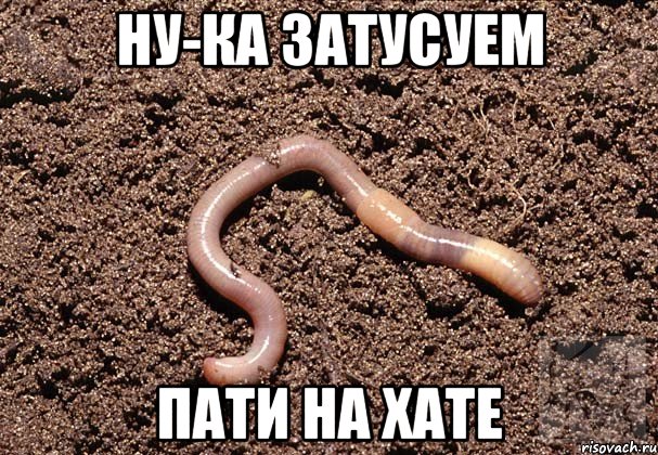 Ну-ка затусуем Пати на хате