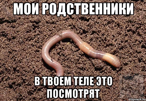 Мои родственники В твоем теле это посмотрят