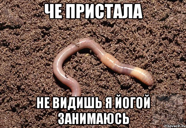 Че пристала Не видишь я йогой занимаюсь