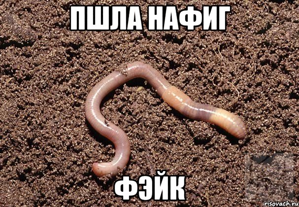 Пшла нафиг Фэйк