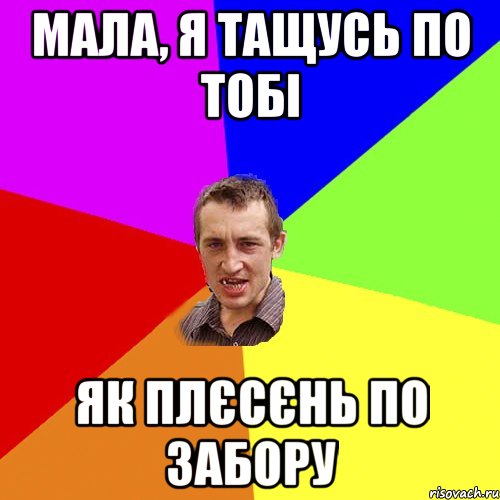 мала, я тащусь по тобі як плєсєнь по забору, Мем Чоткий паца