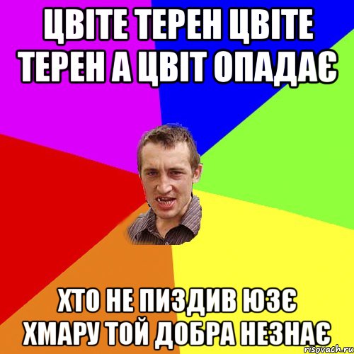 цвіте терен цвіте терен а цвіт опадає хто не пиздив юзє хмару той добра незнає, Мем Чоткий паца