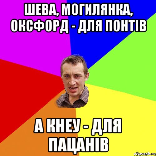 Шева, Могилянка, Оксфорд - для понтів А КНЕУ - для пацанів, Мем Чоткий паца