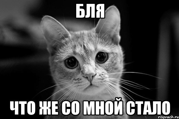 бля что же со мной стало