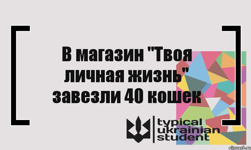 В магазин "Твоя личная жизнь" завезли 40 кошек, Комикс цитата