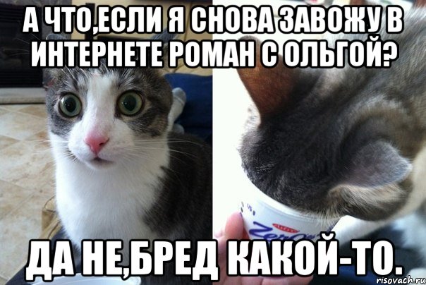 А что,если я снова завожу в интернете роман с Ольгой? Да не,бред какой-то., Комикс  Да не бред-какой-то (2 зоны)