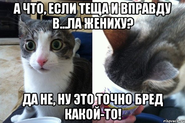 А что, если теща и вправду в...ла жениху? Да не, ну это точно бред какой-то!, Комикс  Да не бред-какой-то (2 зоны)