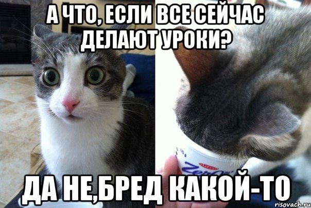 А что, если все сейчас делают уроки? Да не,бред какой-то, Комикс  Да не бред-какой-то (2 зоны)