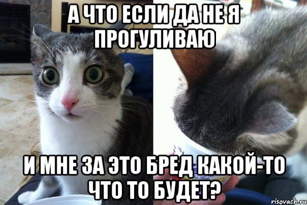 А что если Да не Я прогуливаю И мне за это бред какой-то Что то будет?, Комикс  Да не бред-какой-то (2 зоны)