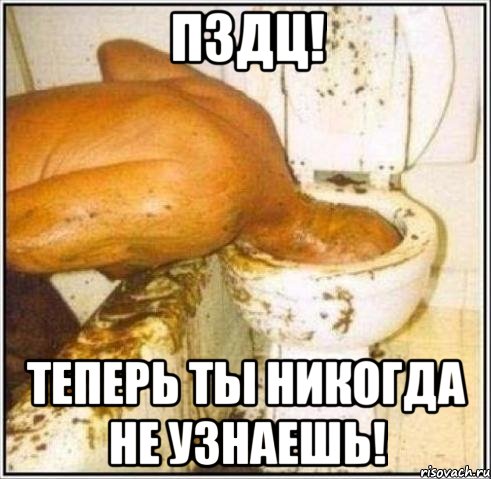 Пздц! Теперь ты никогда не узнаешь!, Мем Дайвер