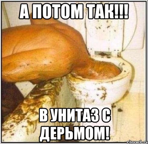 А потом так!!! В унитаз с дерьмом!, Мем Дайвер