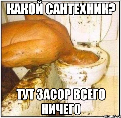 Какой сантехник? Тут засор всего ничего, Мем Дайвер