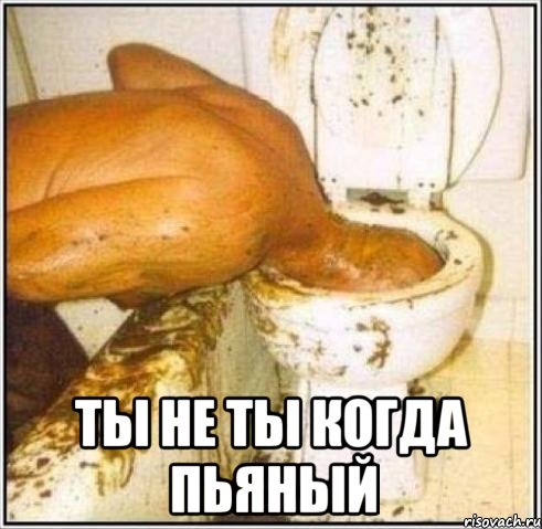  ты не ты когда пьяный, Мем Дайвер