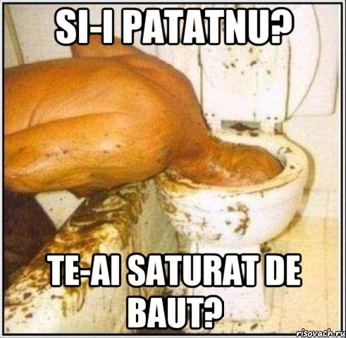 SI-I PATATNU? TE-AI SATURAT DE BAUT?, Мем Дайвер