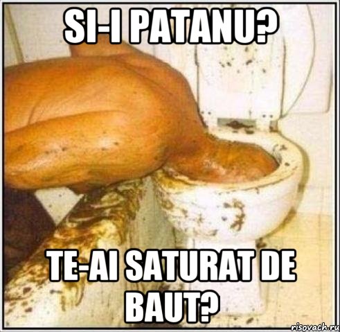 SI-I PATANU? TE-AI SATURAT DE BAUT?, Мем Дайвер