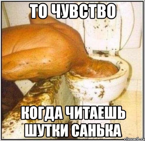 ТО ЧУВСТВО КОГДА ЧИТАЕШЬ ШУТКИ САНЬКА, Мем Дайвер