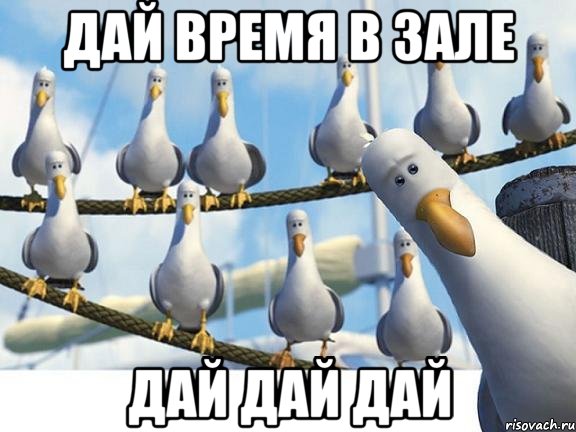 Дай время в зале Дай дай дай