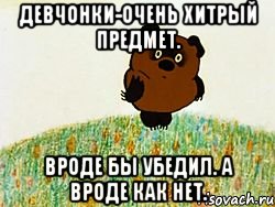 девчонки-очень хитрый предмет. Вроде бы убедил. А вроде как нет., Мем ВИННИ ПУХ