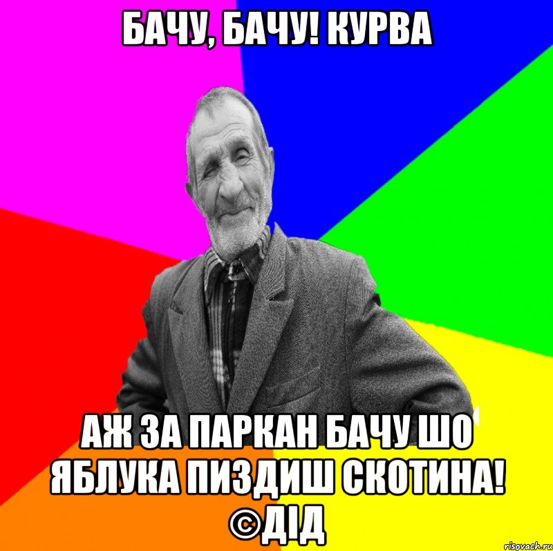 Бачу, Бачу! Курва Аж за паркан бачу шо яблука пиздиш скотина! ©Дід, Мем ДЕД