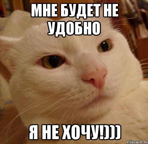 мне будет не удобно я не хочу!))), Мем Дерзкий котэ