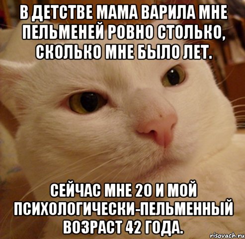 В детстве мама варила мне пельменей ровно столько, сколько мне было лет. Сейчас мне 20 и мой психологически-пельменный возраст 42 года., Мем Дерзкий котэ