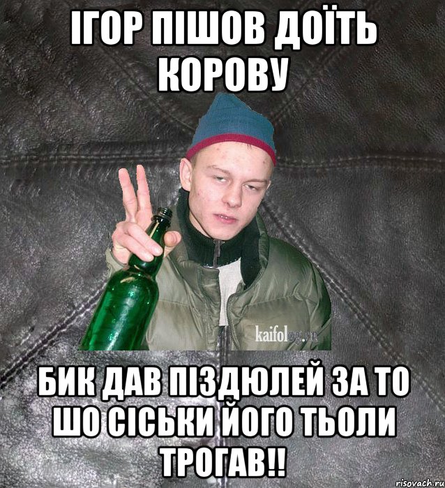 Ігор пішов доїть корову бик дав піздюлей за то шо сіськи його тьоли трогав!!, Мем Дерзкий