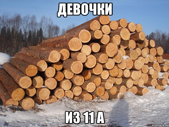 Девочки из 11 А, Мем девушки