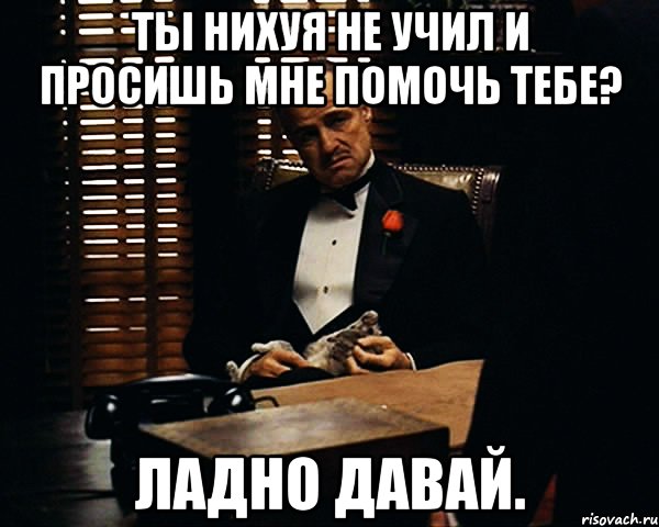 Ты нихуя не учил и просишь мне помочь тебе? Ладно давай., Мем Дон Вито Корлеоне