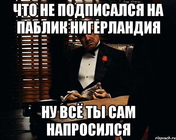 что не подписался на паблик нигерландия ну всё ты сам напросился, Мем Дон Вито Корлеоне