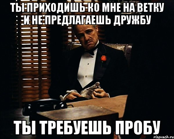 Ты приходишь ко мне на ветку и не предлагаешь дружбу ты требуешь пробу, Мем Дон Вито Корлеоне