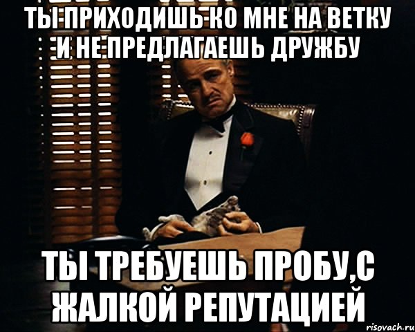 Ты приходишь ко мне на ветку и не предлагаешь дружбу ты требуешь пробу,с жалкой репутацией, Мем Дон Вито Корлеоне