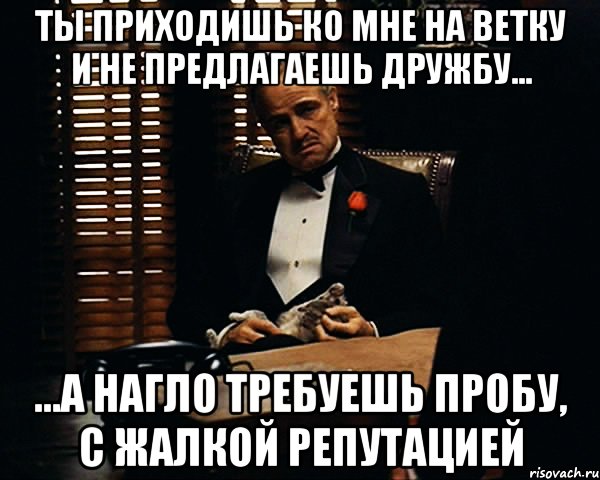 Ты приходишь ко мне на ветку и не предлагаешь дружбу... ...а нагло требуешь пробу, с жалкой репутацией, Мем Дон Вито Корлеоне