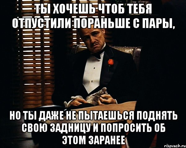 ТЫ ХОЧЕШЬ ЧТОБ ТЕБЯ ОТПУСТИЛИ ПОРАНЬШЕ С ПАРЫ, НО ТЫ ДАЖЕ НЕ ПЫТАЕШЬСЯ ПОДНЯТЬ СВОЮ ЗАДНИЦУ И ПОПРОСИТЬ ОБ ЭТОМ ЗАРАНЕЕ, Мем Дон Вито Корлеоне