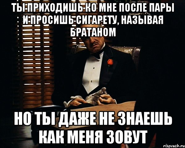 Ты приходишь ко мне после пары и просишь сигарету, называя братаном Но ты даже не знаешь как меня зовут, Мем Дон Вито Корлеоне