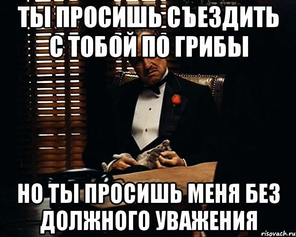 Ты просишь съездить с тобой по грибы но ты просишь меня без должного уважения, Мем Дон Вито Корлеоне