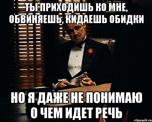 ТЫ ПРИХОДИШЬ КО МНЕ, ОБВИНЯЕШЬ, КИДАЕШЬ ОБИДКИ НО Я ДАЖЕ НЕ ПОНИМАЮ О ЧЕМ ИДЕТ РЕЧЬ, Мем Дон Вито Корлеоне