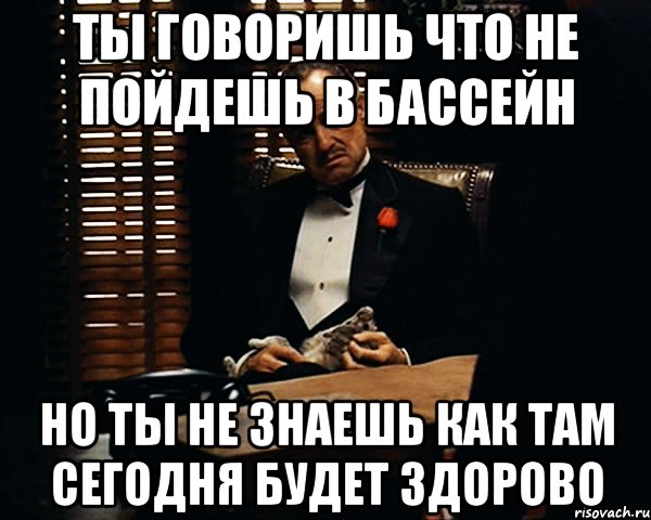 Ты говоришь что не пойдешь в бассейн Но ты не знаешь как там сегодня будет здорово, Мем Дон Вито Корлеоне