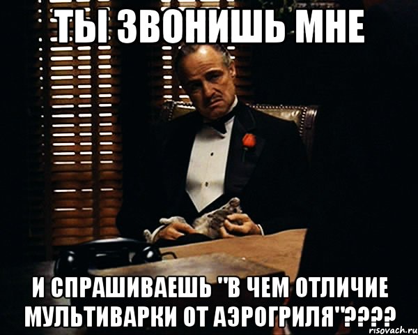 Ты звонишь мне И спрашиваешь "в чем отличие мультиварки от аэрогриля"????, Мем Дон Вито Корлеоне