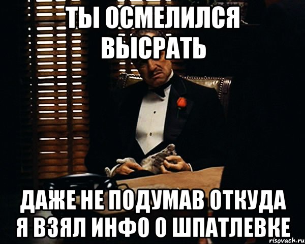 ты осмелился высрать даже не подумав откуда я взял инфо о шпатлевке, Мем Дон Вито Корлеоне