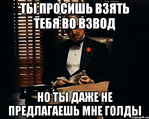 Ты просишь взять тебя во взвод но ты даже не предлагаешь мне голды, Мем Дон Вито Корлеоне