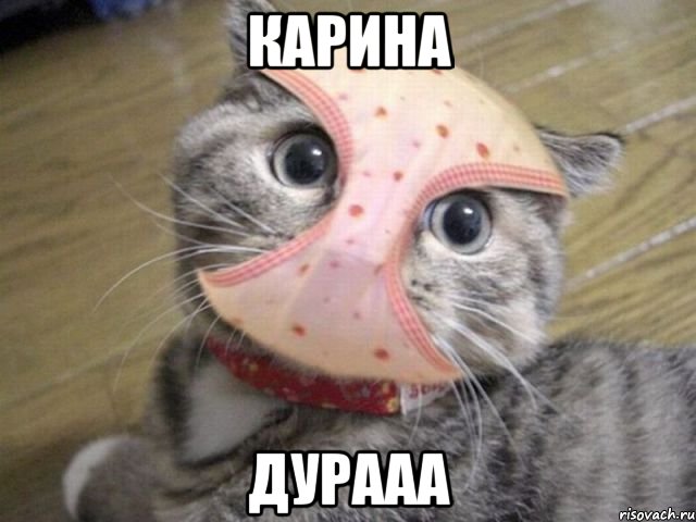 карина дурааа, Мем дура