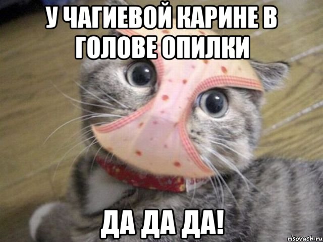 У ЧАГИЕВОЙ КАРИНЕ В ГОЛОВЕ ОПИЛКИ ДА ДА ДА!, Мем дура