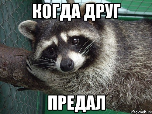 когда друг предал