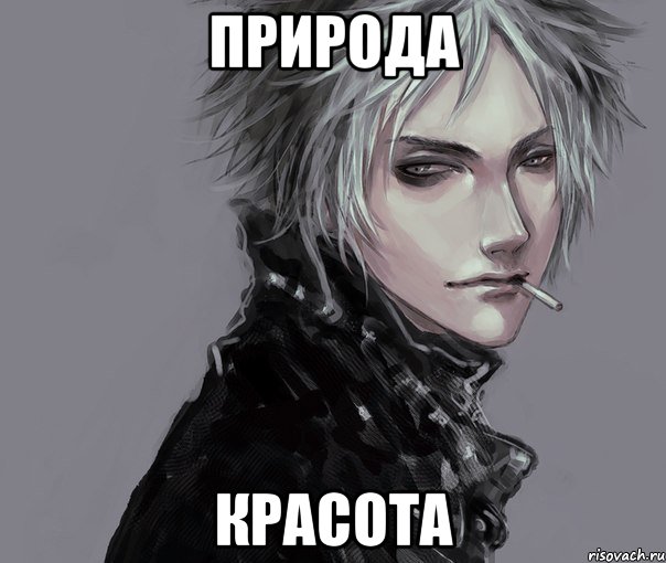 Природа Красота