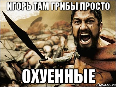 Игорь там грибы просто ОХУЕННЫЕ, Мем Это Спарта